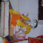 Vraj-Yatra-2014- (848)